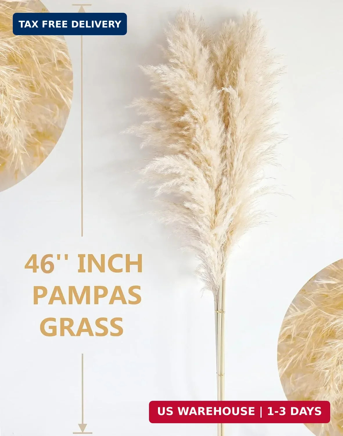 40″ inch 10 Stems Natural Pampas Grass Decor Tall, pompas Grass, Tall Pampas Gra