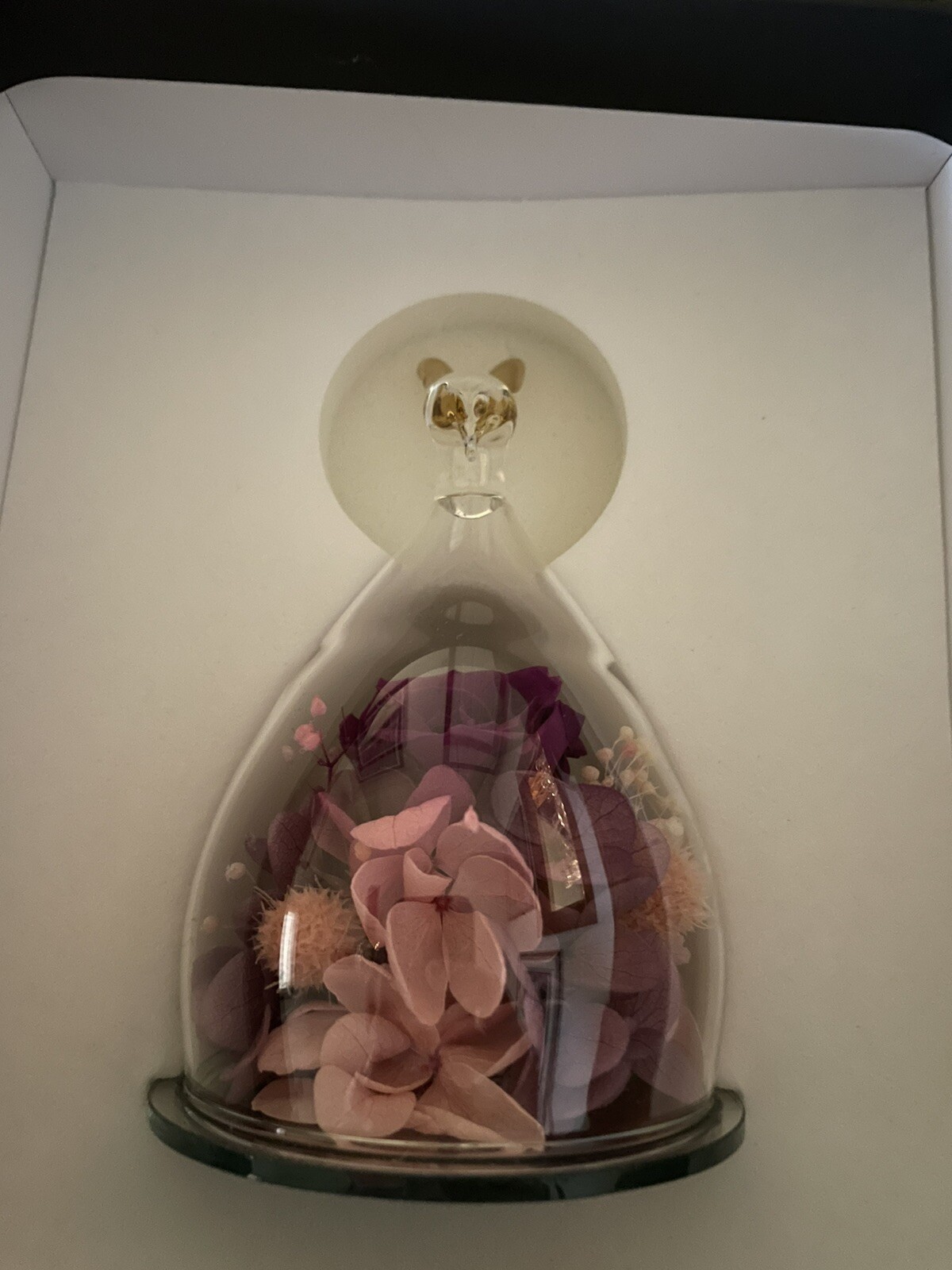Hoomna Zodiac Forever Rose Gift Preserved Real Rose in Capricorn