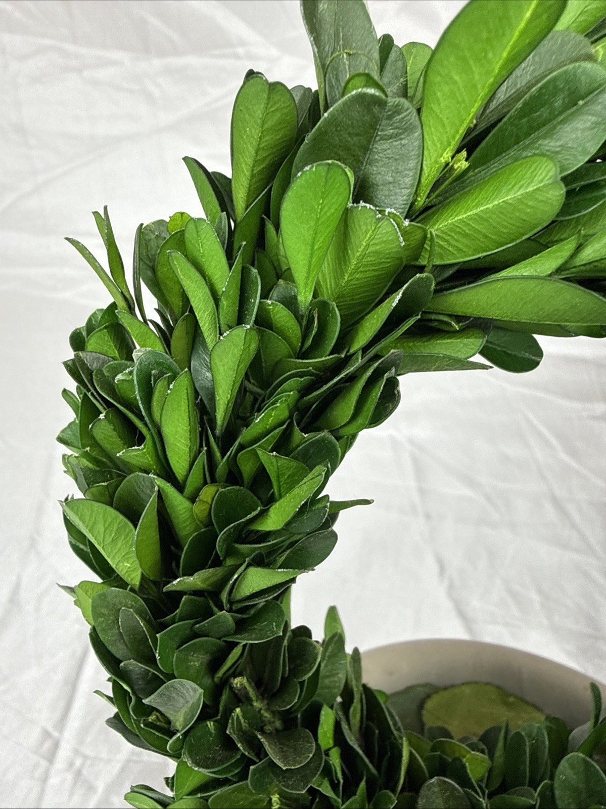 Artificial 12″ Green Boxwood Topiary Circular Wreath In Rustic Grey Ceramic Pot