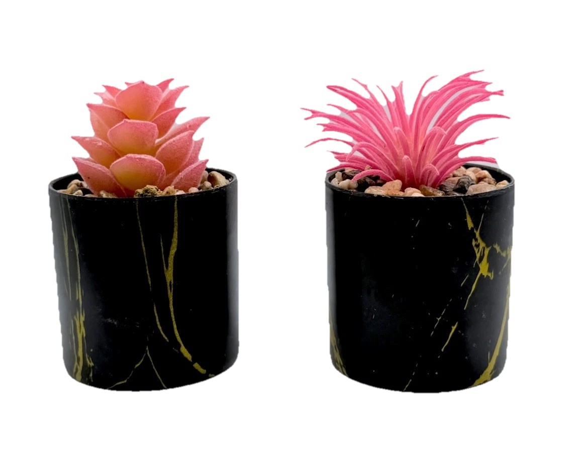 2 pcs Artificial Pink Succulent & Cactus Houseplant, Black Pots 3.5 inch