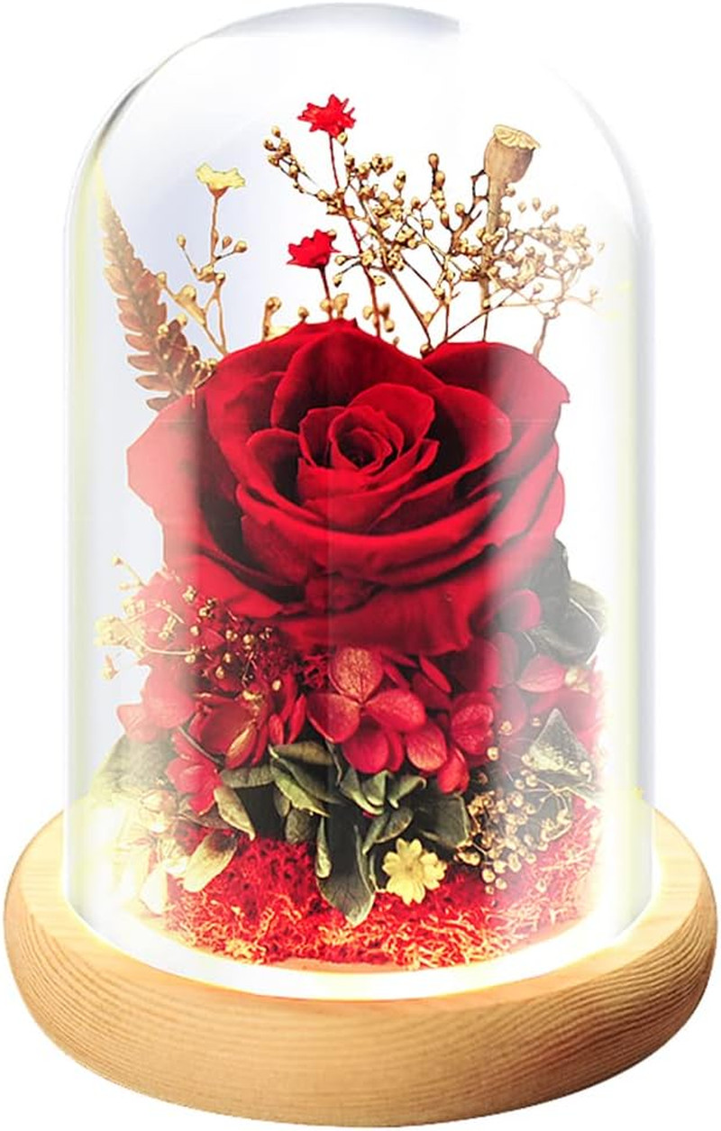 Eternal Rose Gift Set in Glass Dome – Red | Preserved Rose with LED Light | Vale