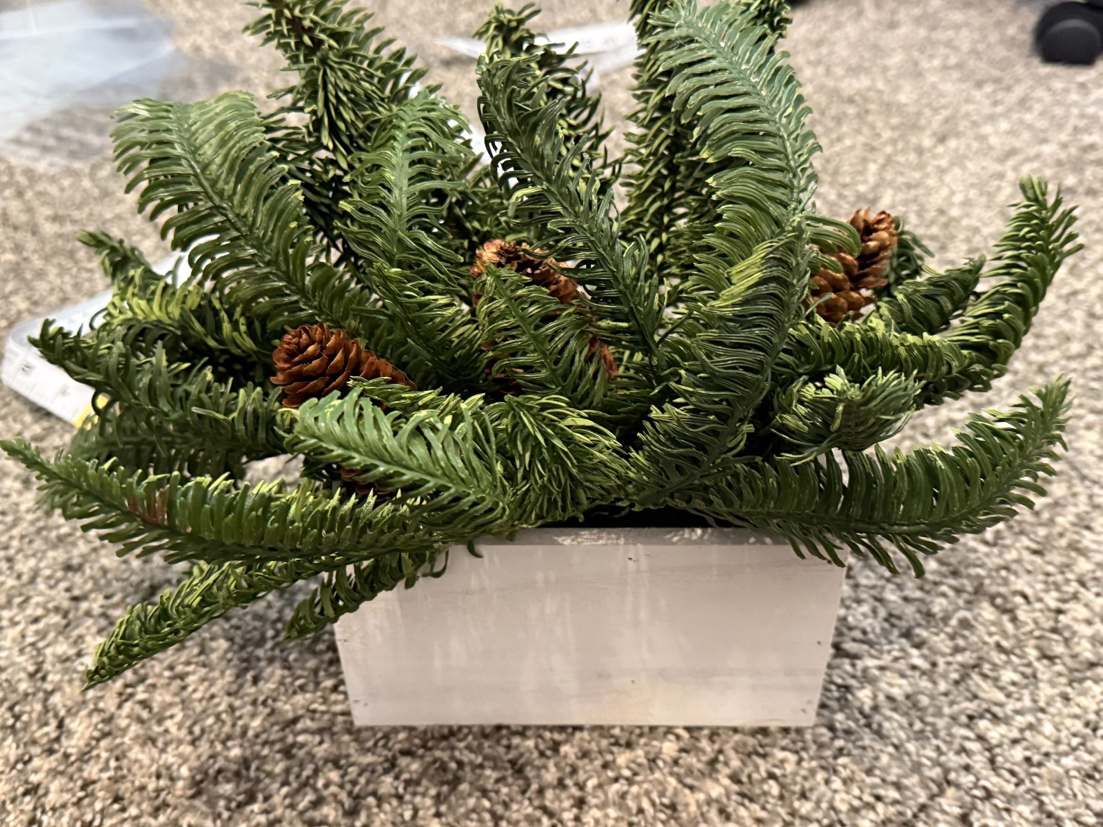 Decoration Fern and Pinecone in wooden planter box (7in by 4in by 3in deep)