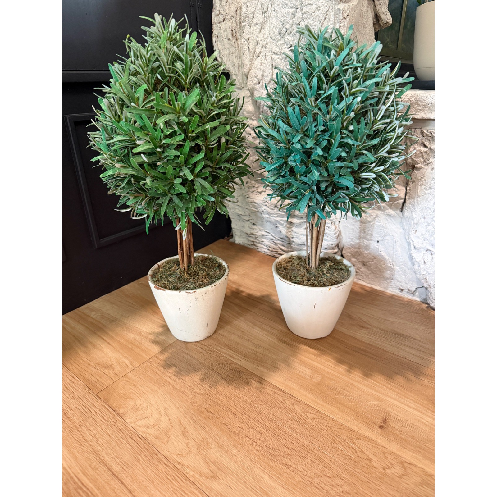 Set of 2 Artificial Olive Topiary Trees in Distressed White Pots 20 Inch Green