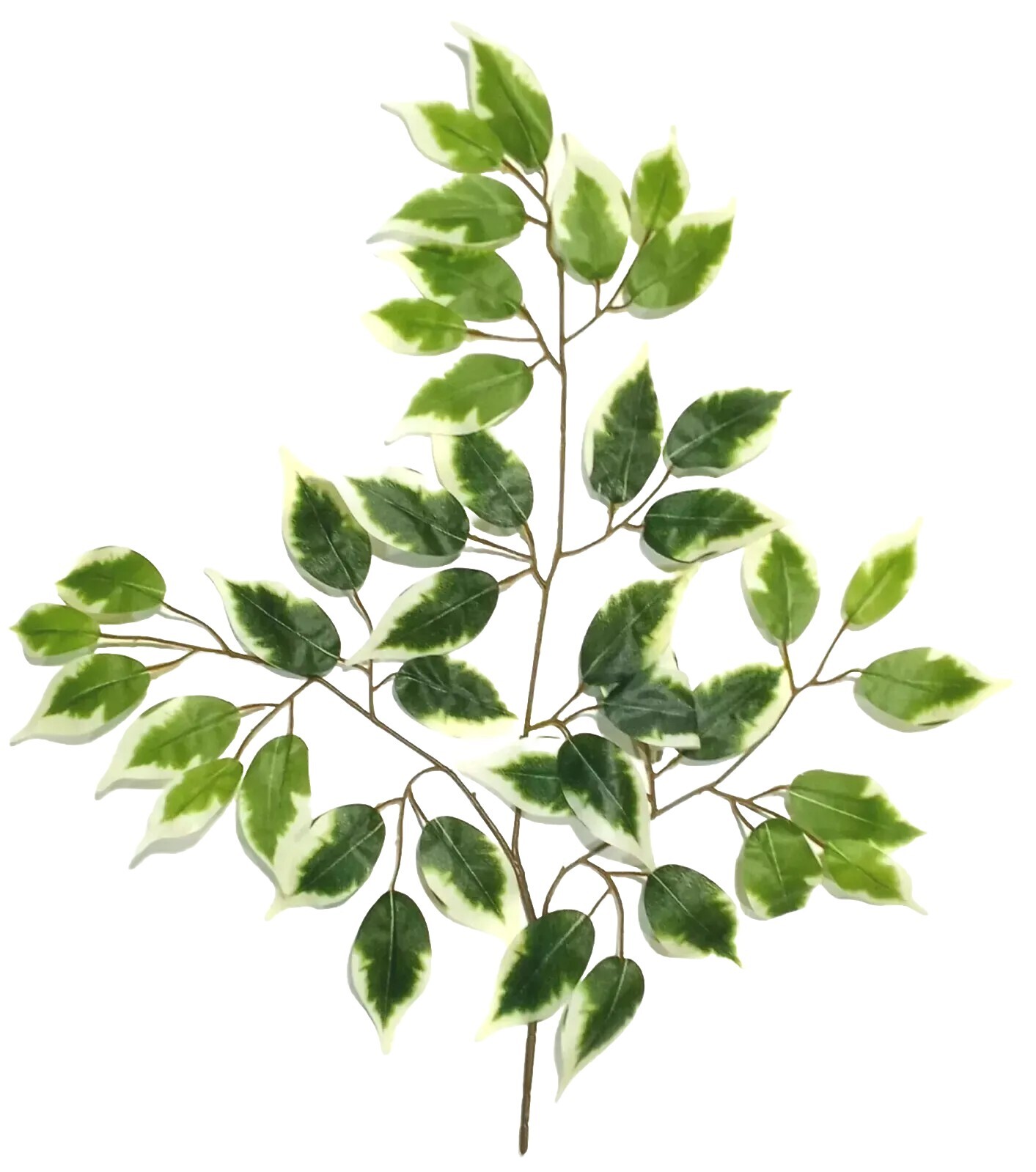 (6-Pack) Variegated Ficus Leaf 23″ Spray Filler Background Foliage Home Decor US
