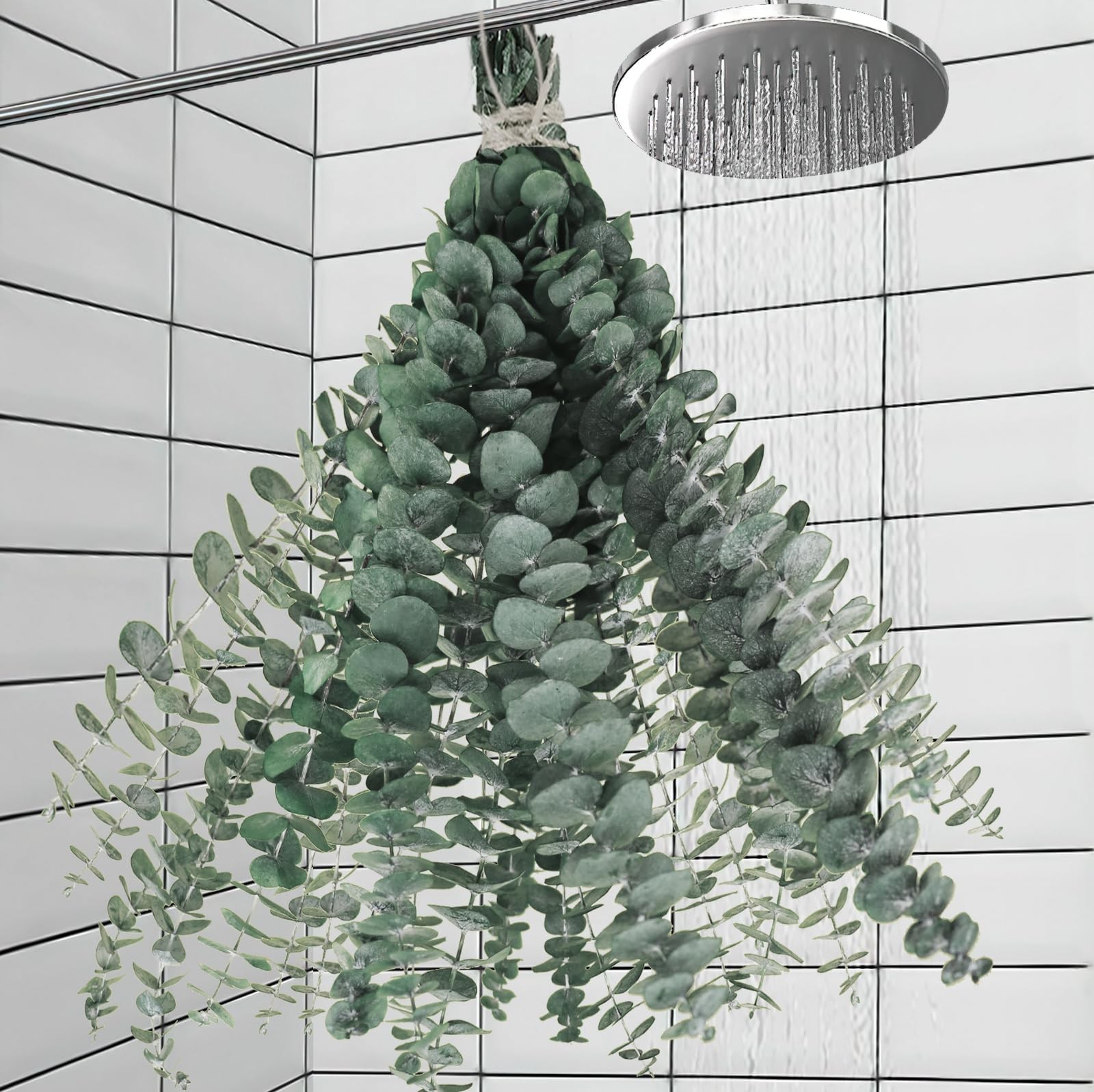 Tallo de eucalipto seco natural para decoración ducha y baño 43 cm (17 pulgadas)