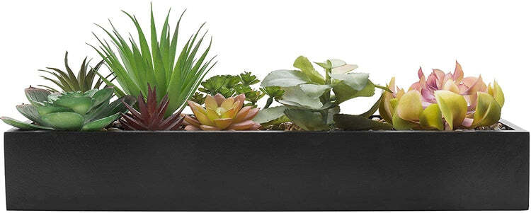 Artificial Assorted Succulent Arrangement in Rectangular Black Wood Planter Box