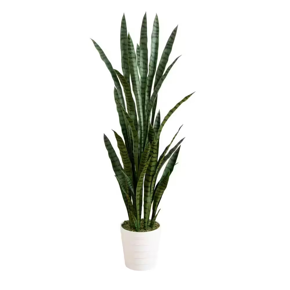 5 Ft. UV Resistant Artificial Sansevieria Plant in White Decorative Planter (Ind