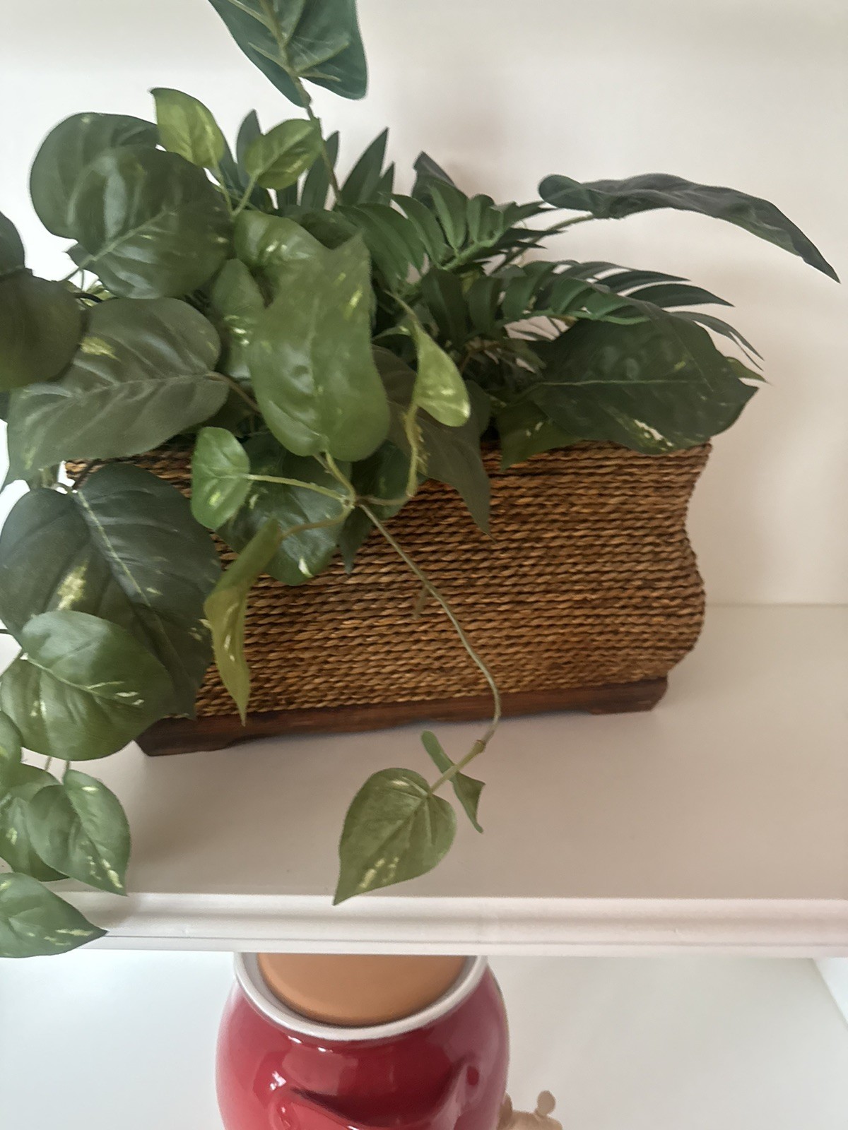 PLASTIC GREEN PLANT IN A WICKER BASKET CASE EXCELLENT CONDITION