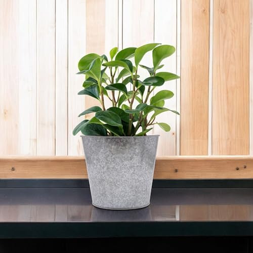 Set of 2 Galvanized Bucket/Pots with PVC Liner, 6.5″ Dia x 6″ H Ideal Gift