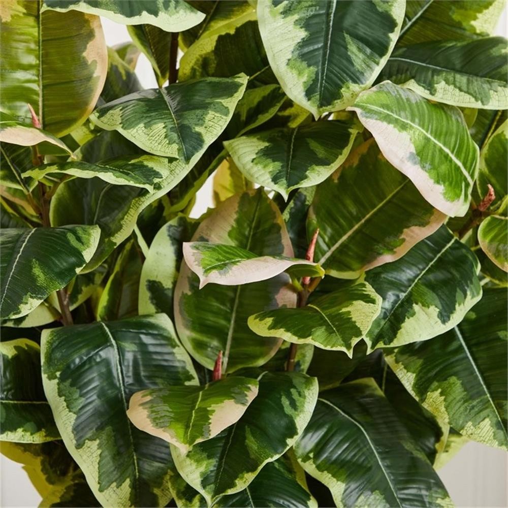 Pemberly Row Variegated Rubber Leaf Artificial Plant in White Tower Vase