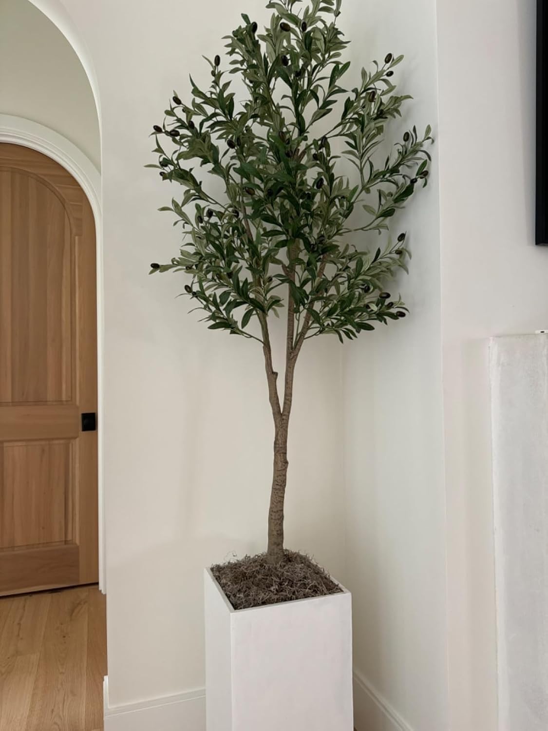 Rustic & Organic Spanish Moss for Houseplants, Crafts & Floral Arrangements