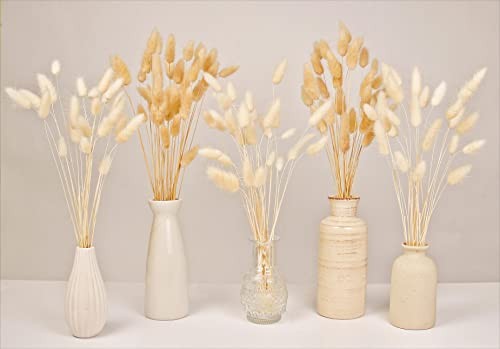 100 PCS Bunny Tails Dried Flowers, Dried Pampas Grass Bouquet, Boho Table Decor,