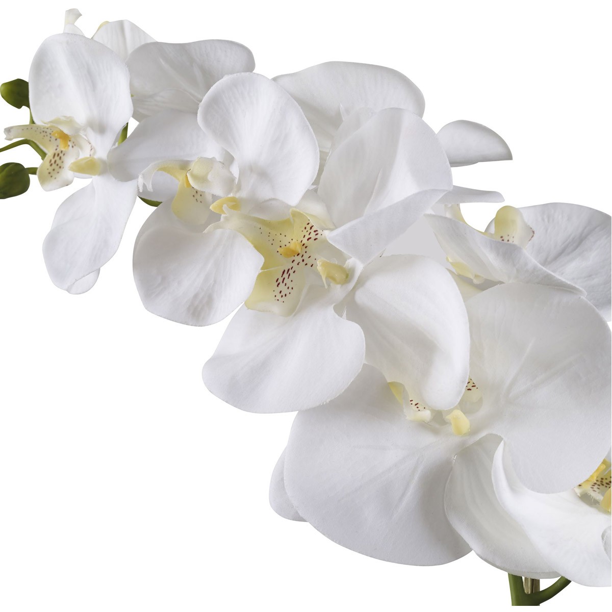 Uttermost 60178 Cami White Ceramic Orchid