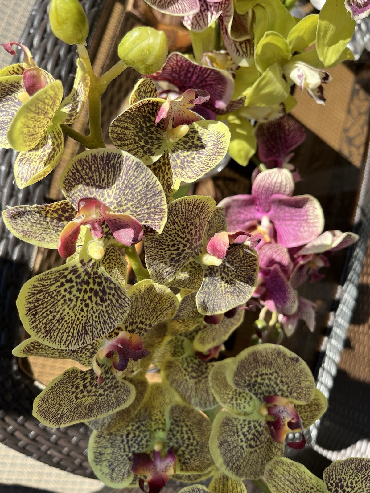 Uttermost – Gorgeous Faux Orchids ***PAIR 18” Tall 12” Tall TWO for Price ONE!