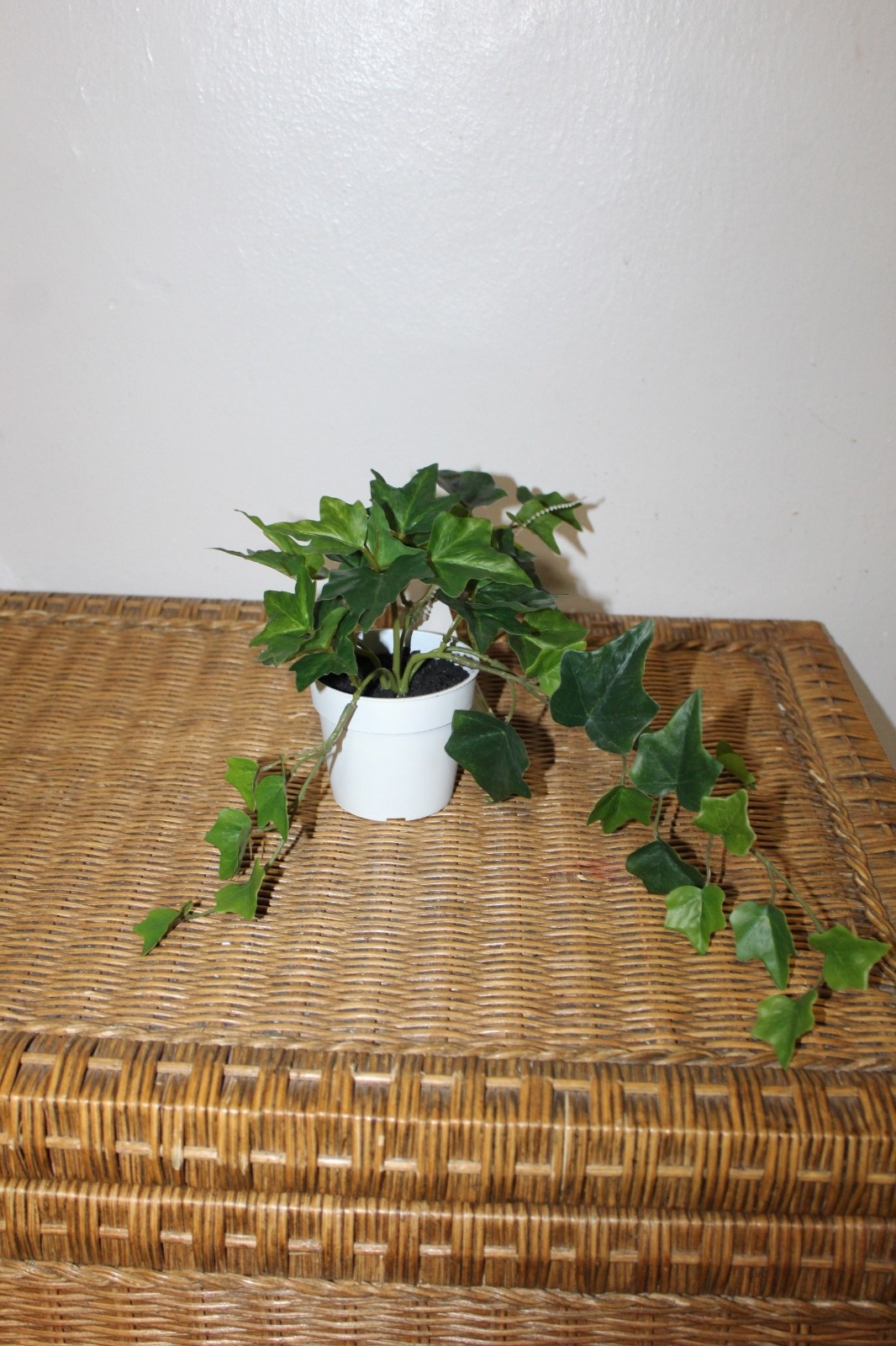 Williams Sonoma Artificial Potted Green Leaf.
