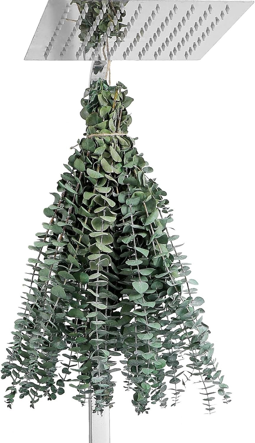 12 Tallos de Eucalipto 43cm para Ducha Colgante Hojas Naturales Secas Decoración