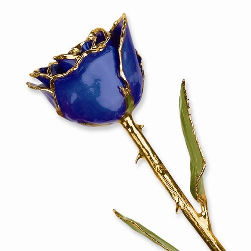 Burgundy and Pink Rose 24K Yellow Gold Trimmed Lacquered Long Stem Rose 12″