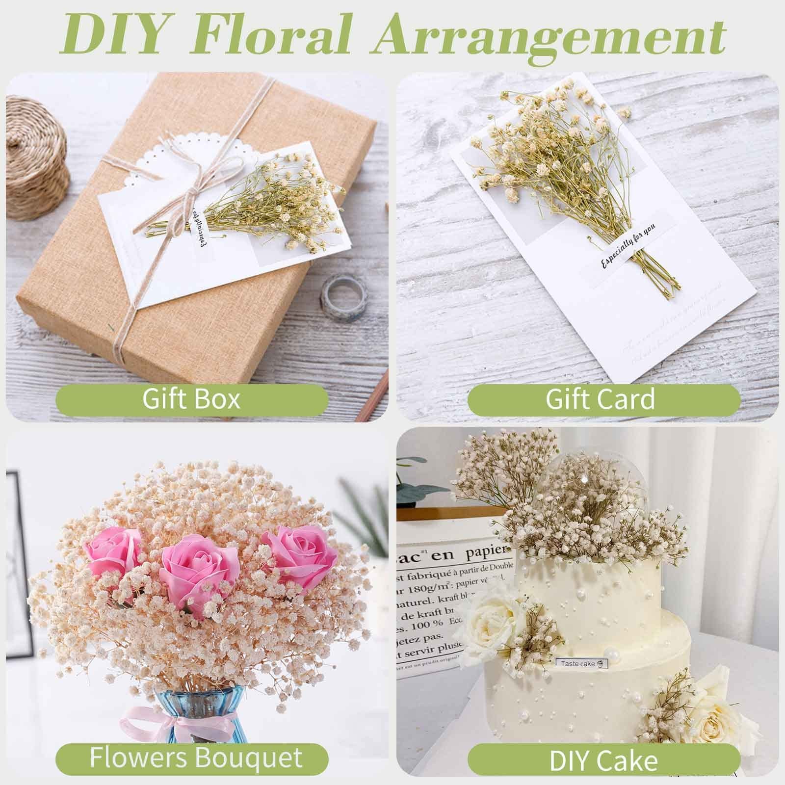Dried Babys Breath Flowers Bouquet 17 Inch 5000+ Ivory White DIY Decor 6oz