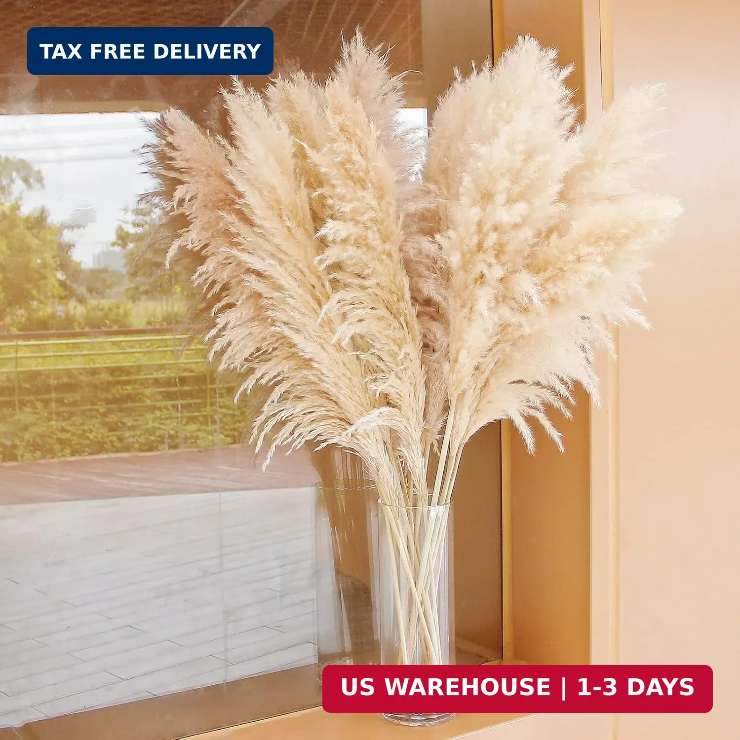 40″ inch 10 Stems Natural Pampas Grass Decor Tall, pompas Grass, Tall Pampas Gra