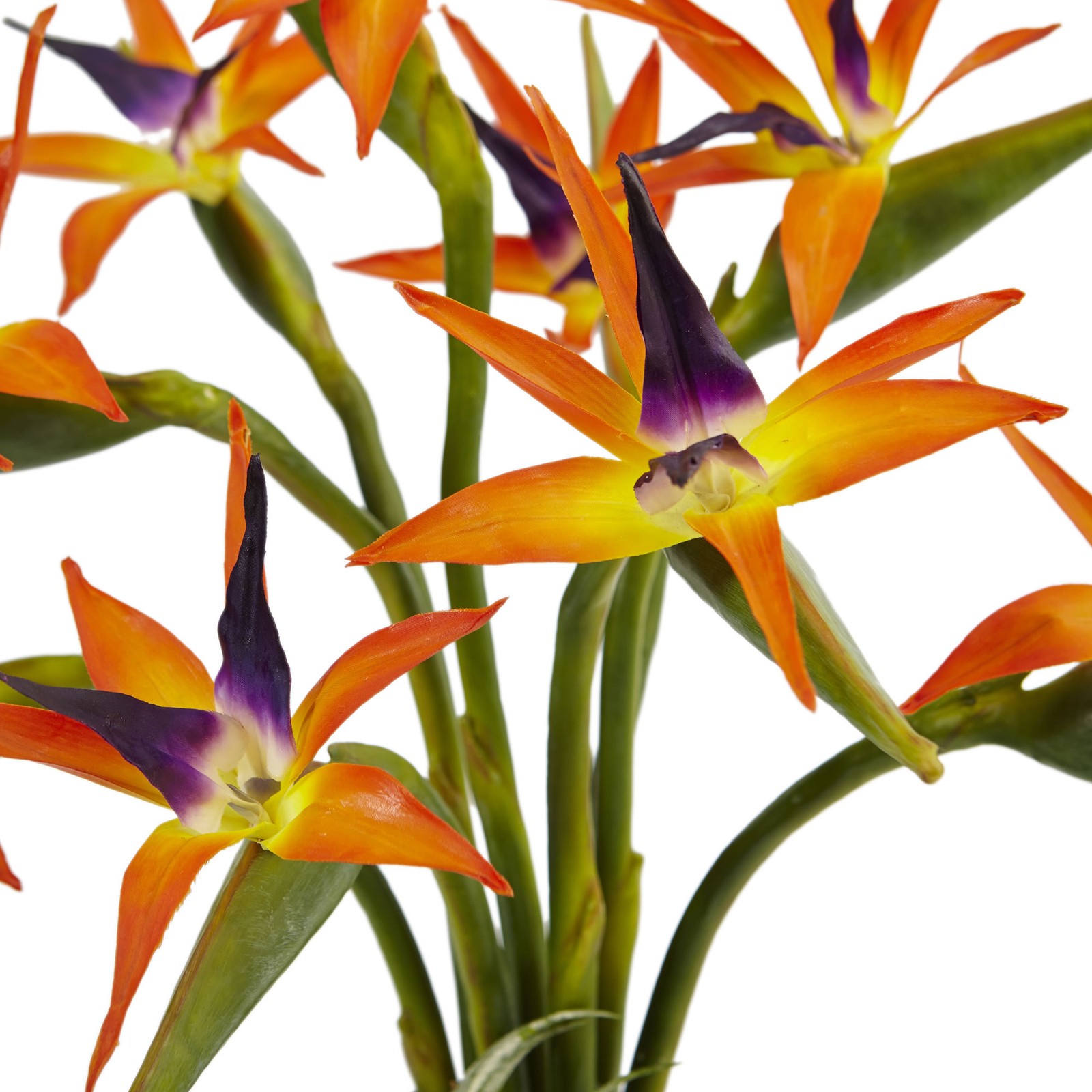 24 Inch Bird of Paradise Faux Plant in Black Glossy Cylinder Planter Vibrant