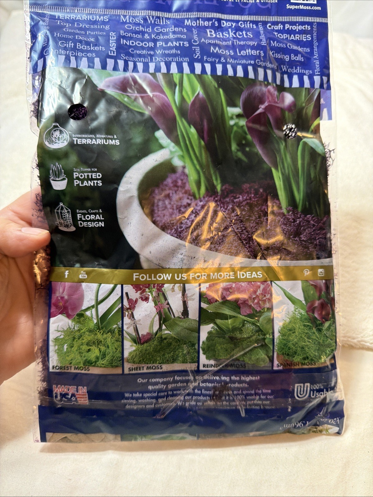 2oz of Soft, Vibrant Purple Reindeer Moss – A Delight for Eco-Conscious Crafters