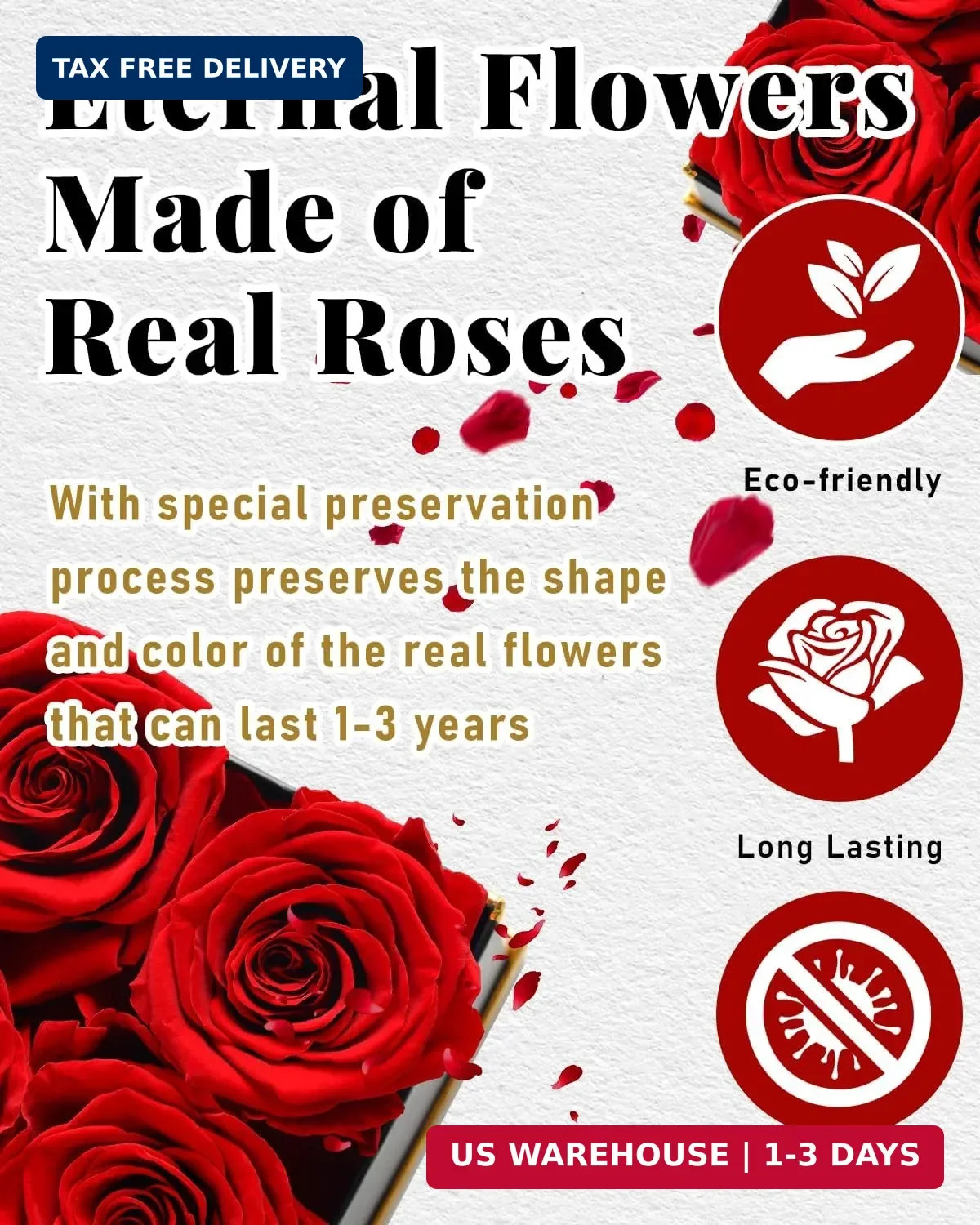 Changshunqi Forever Flowers, Preserved Roses in a Box, Eternal Rose Flowers for