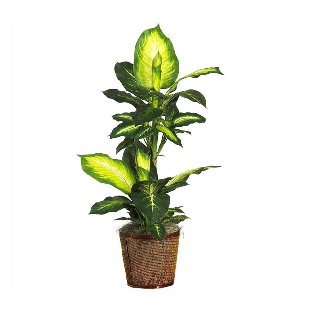 Nearly Natural 42″ Golden Dieffenbachia with Basket Silk Plant in Green/Brown