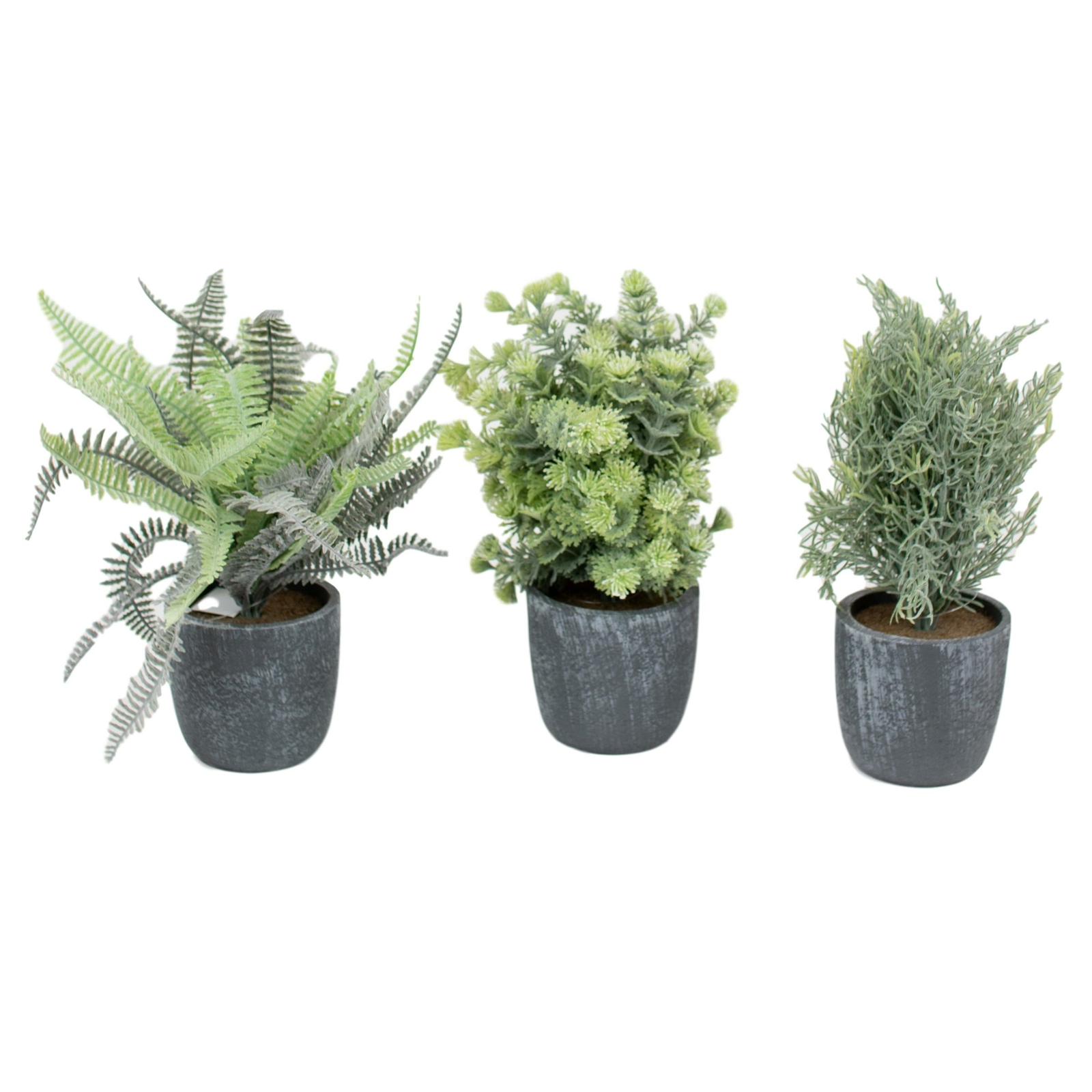 Elegant Fern Leaves Green Set Three Faux Floral Round Gray Pots
