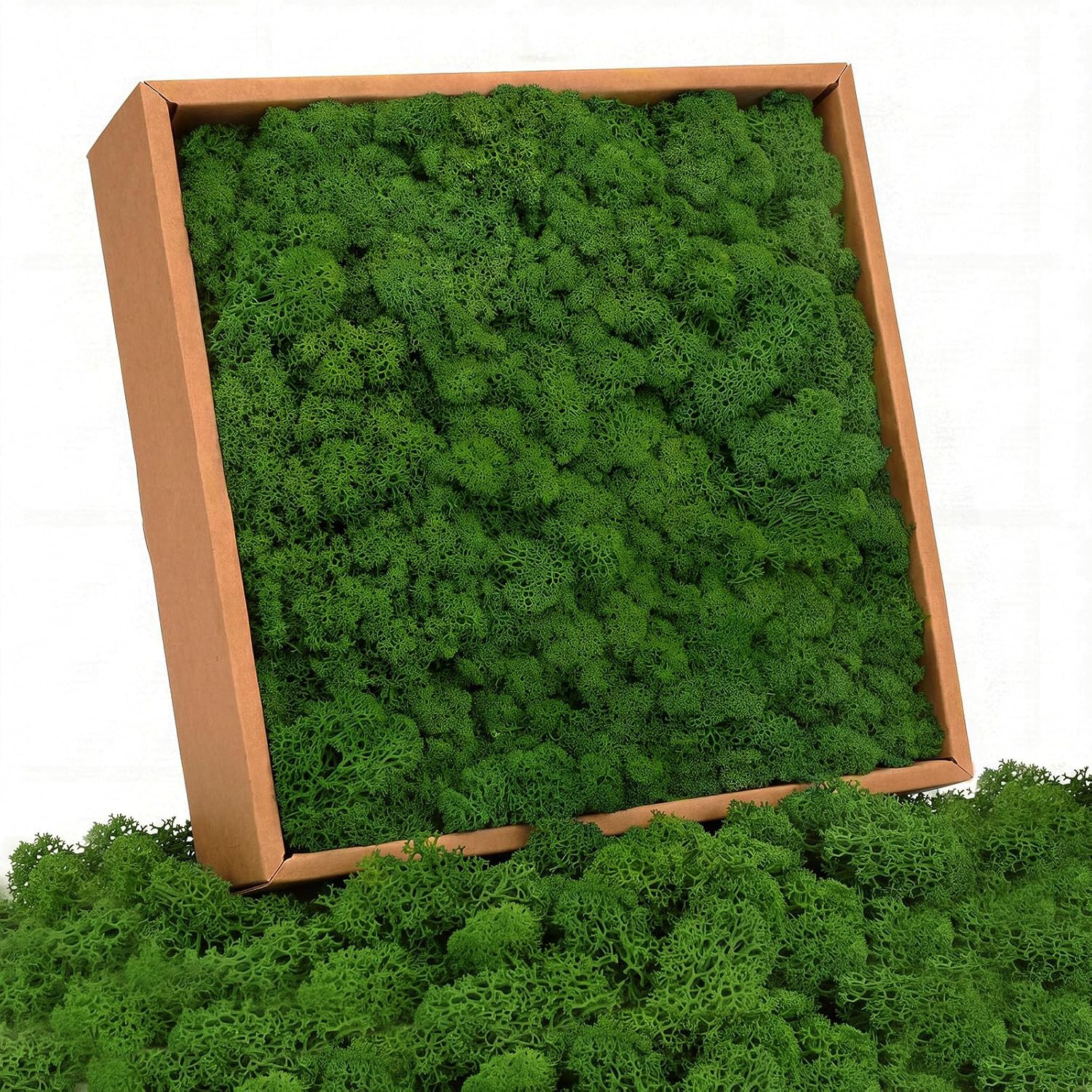 Preserved Reindeer Moss Natural Dark Green, 1.1 LB Real Moss for DIY Crafts, Mos
