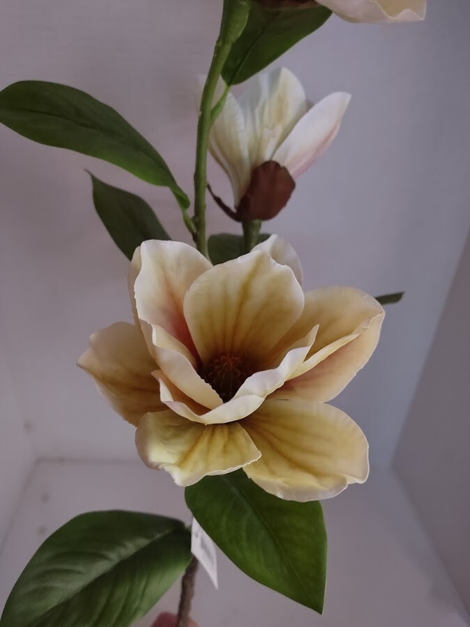 Magnolia stem bush CREAM with Green highlights