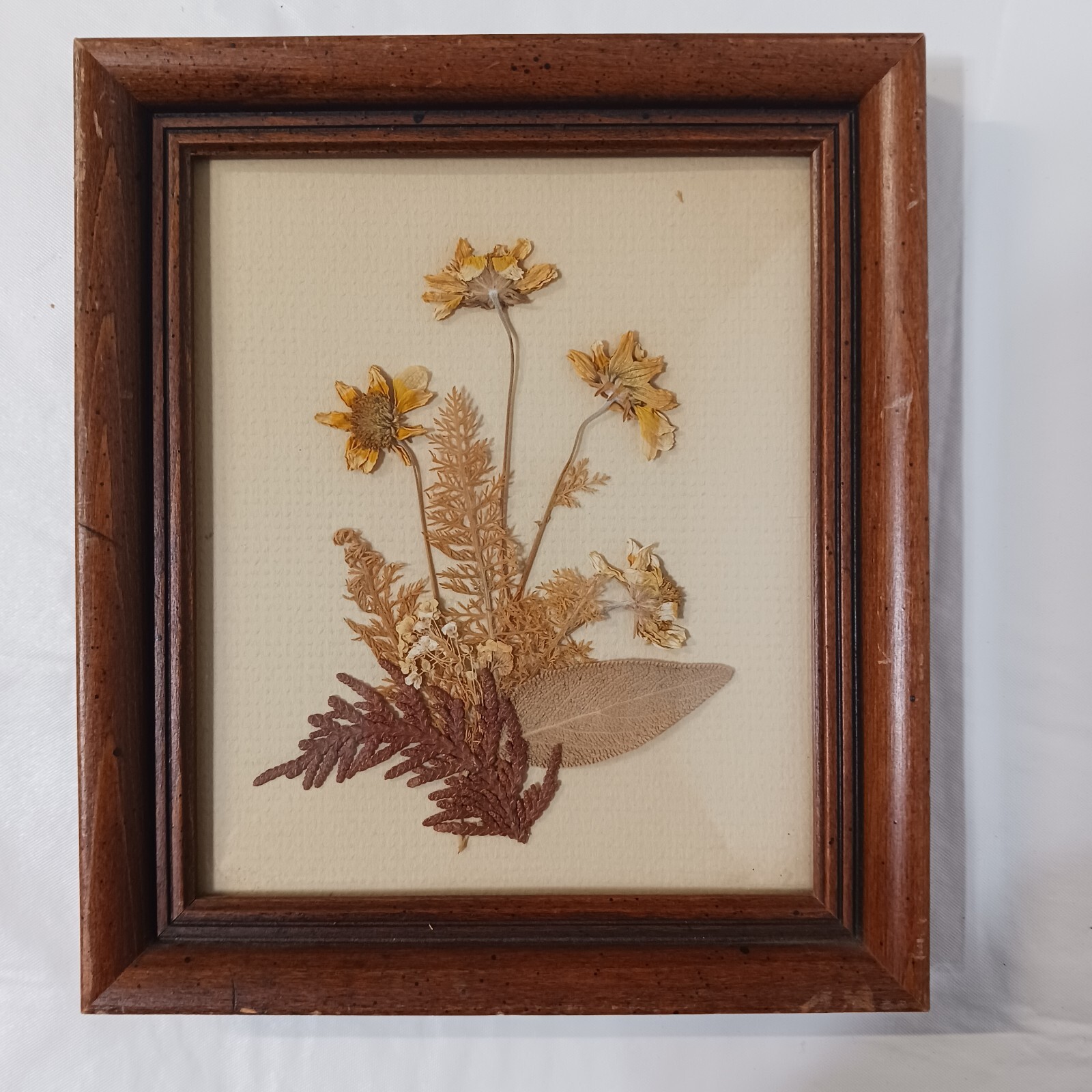 Framed Dried Flower Arrangement 7×6 Multicolored Custom Framed