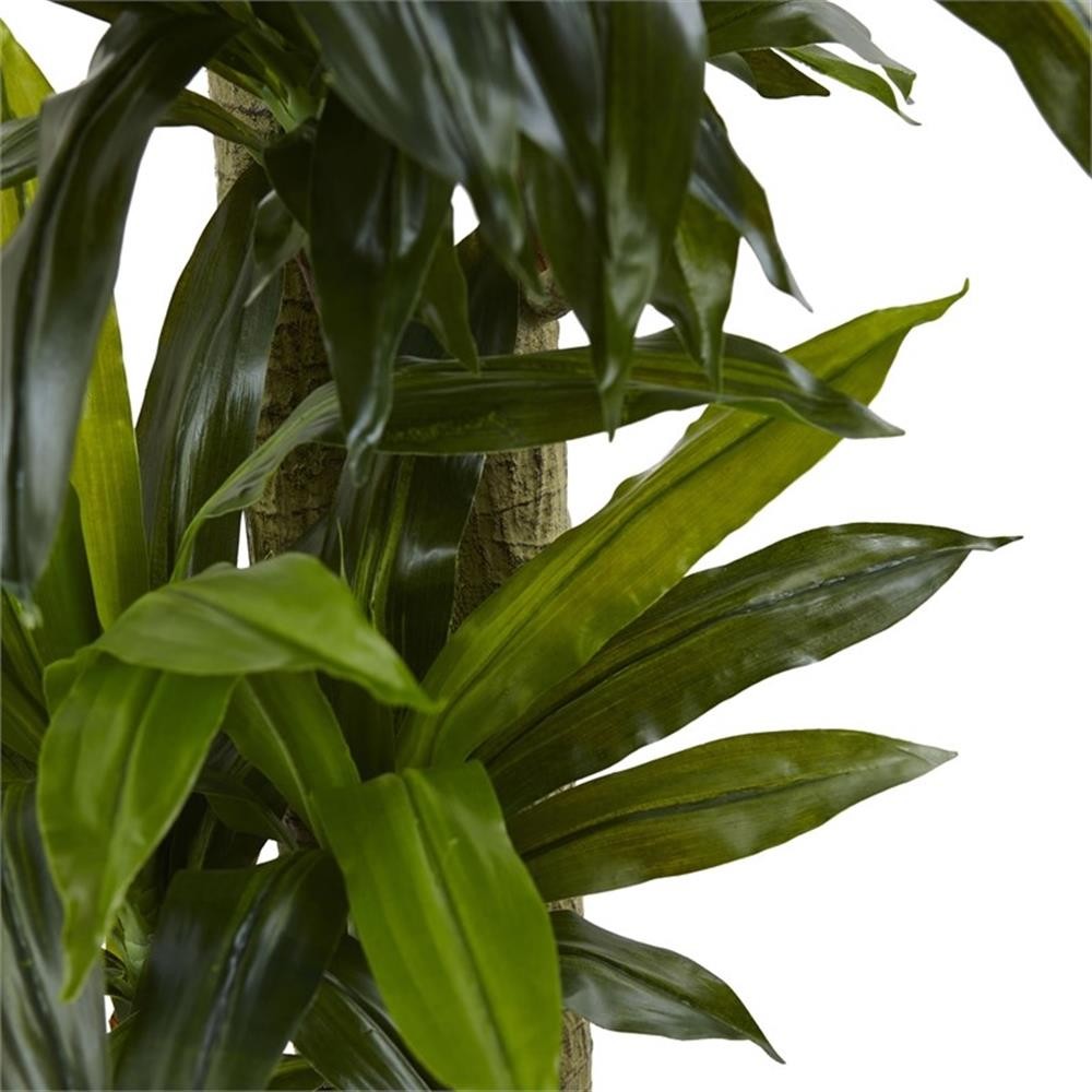 Pemberly Row 66″ Corn Stalk Dracaena with Black Wash Planter in Green/Black