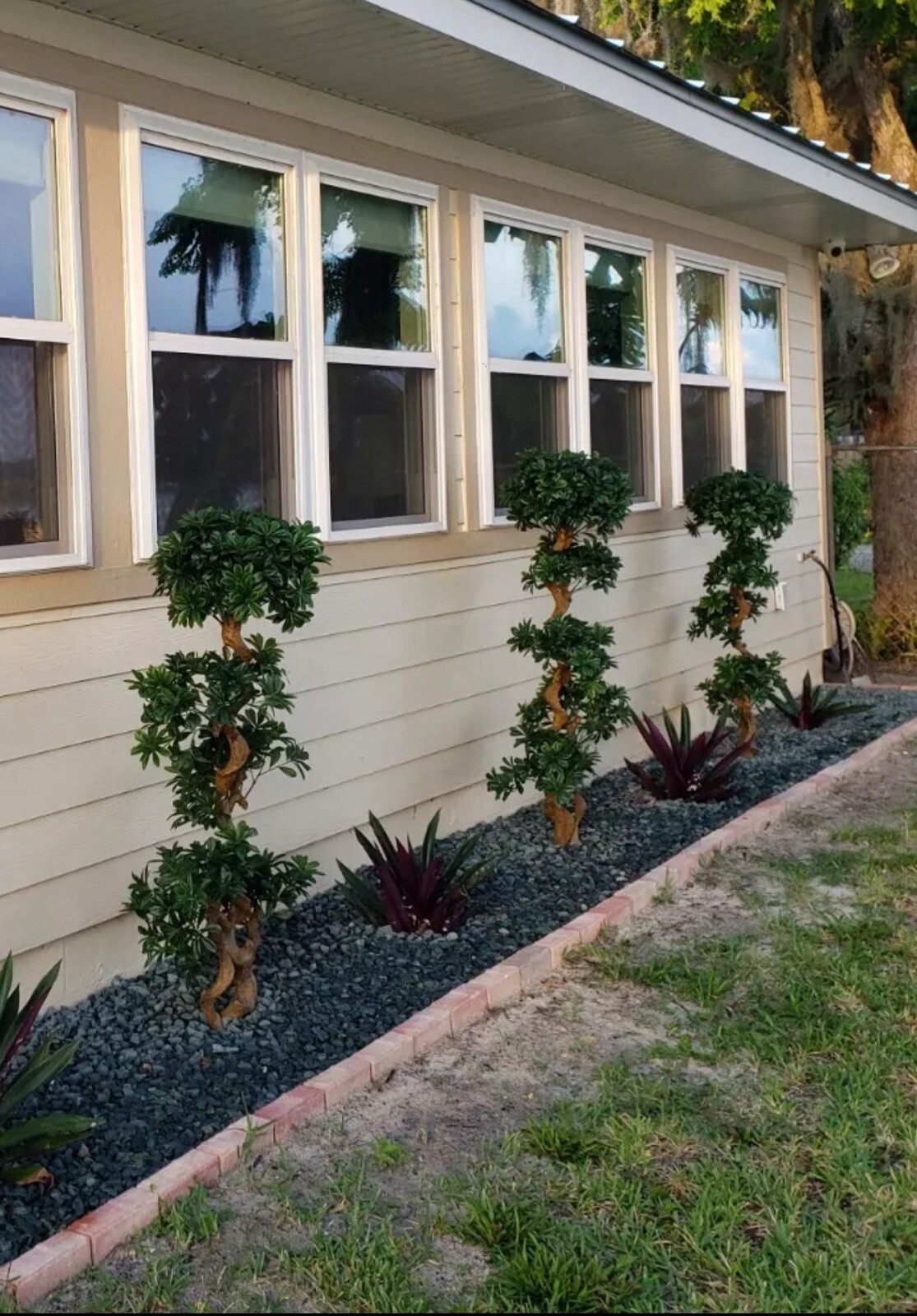 5’ Artificial Pittispourm Tree UV (Indoor/Outdoor) Home Decor. Retail $324
