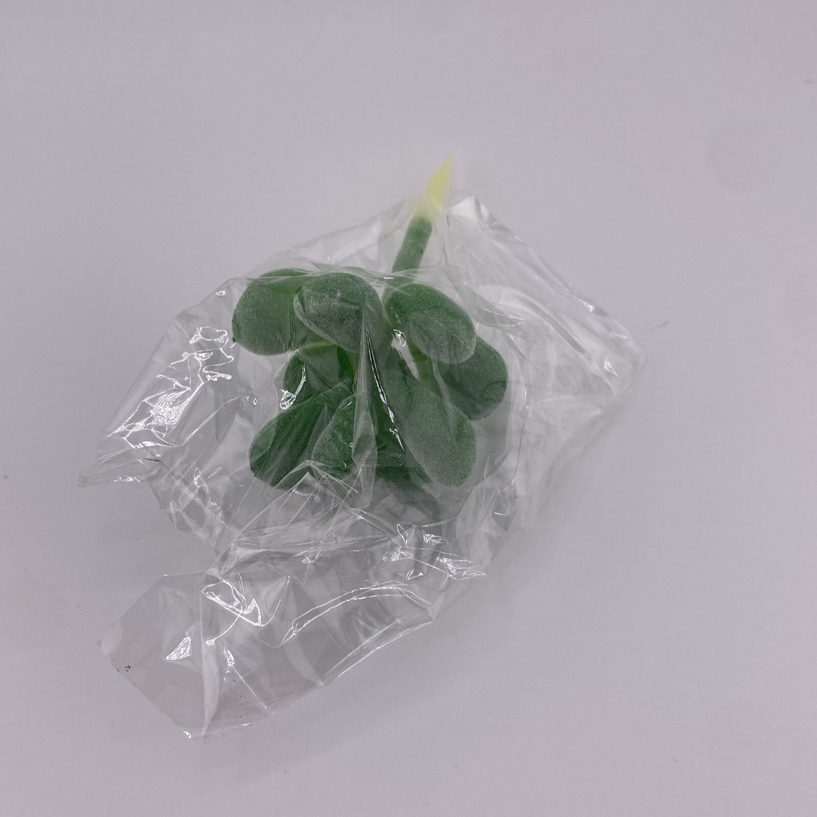 Lot Of 16 Plastic Succulents! Home Decor, Never Used! Make Great Accents! Green!