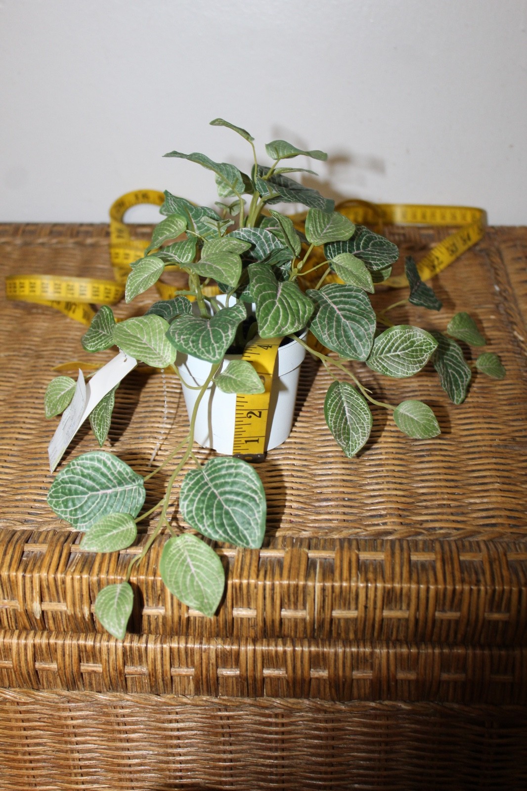 Williams Sonoma Artificial Potted Mosaic Leaf Plant