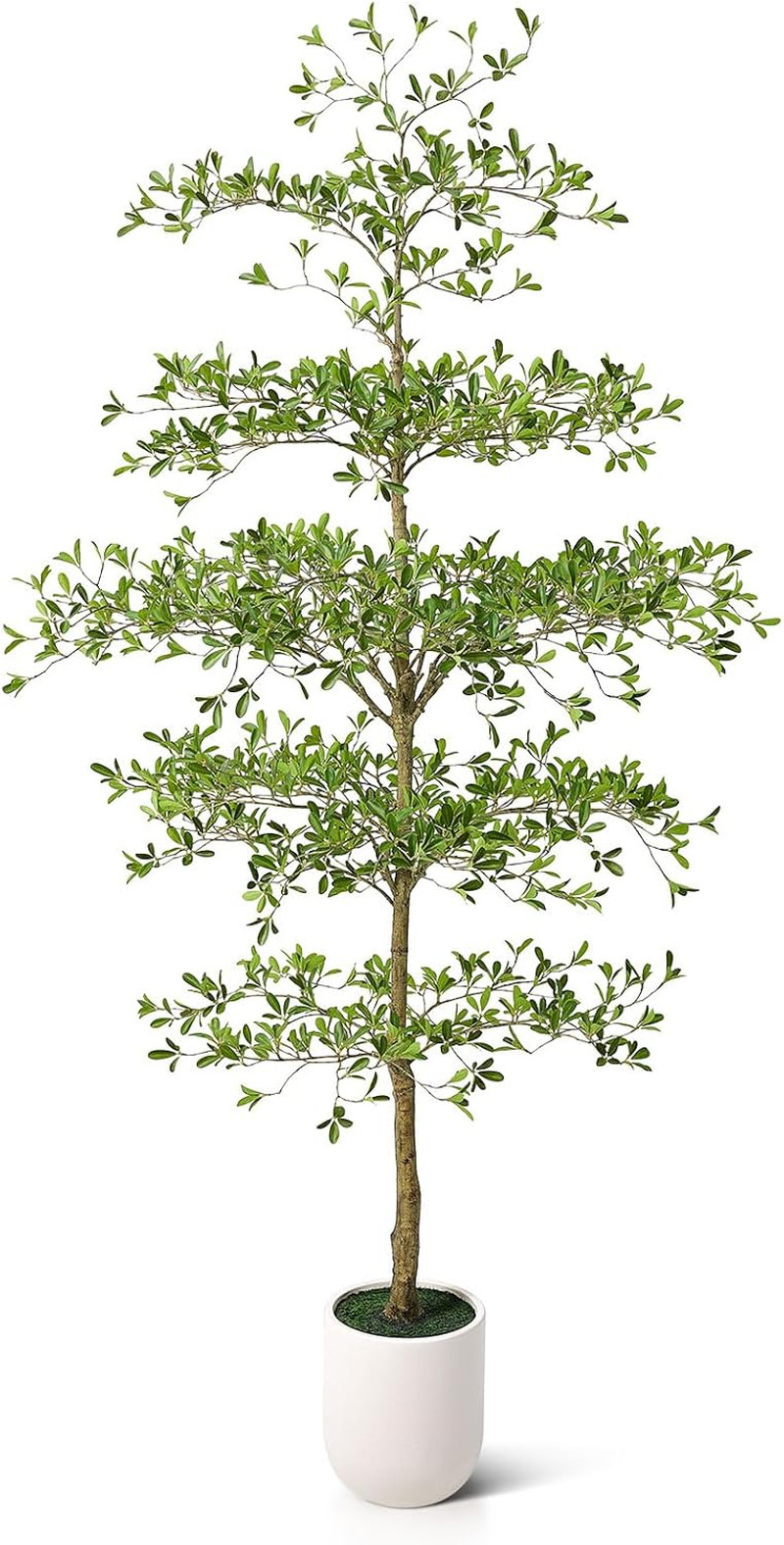 9FT Faux Black Olive Tree with White Planter – Elegant Indoor Decor