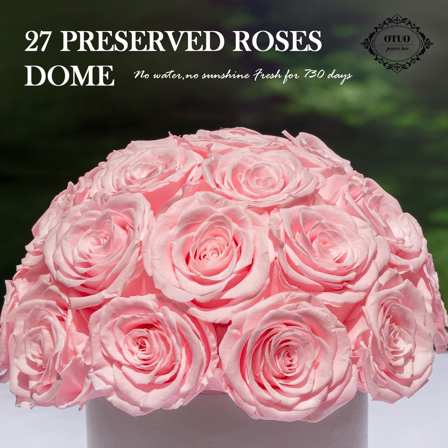 27 Preserved Roses in Round Dome Shape, Mother’s Day Real Forever Flowers Rose B