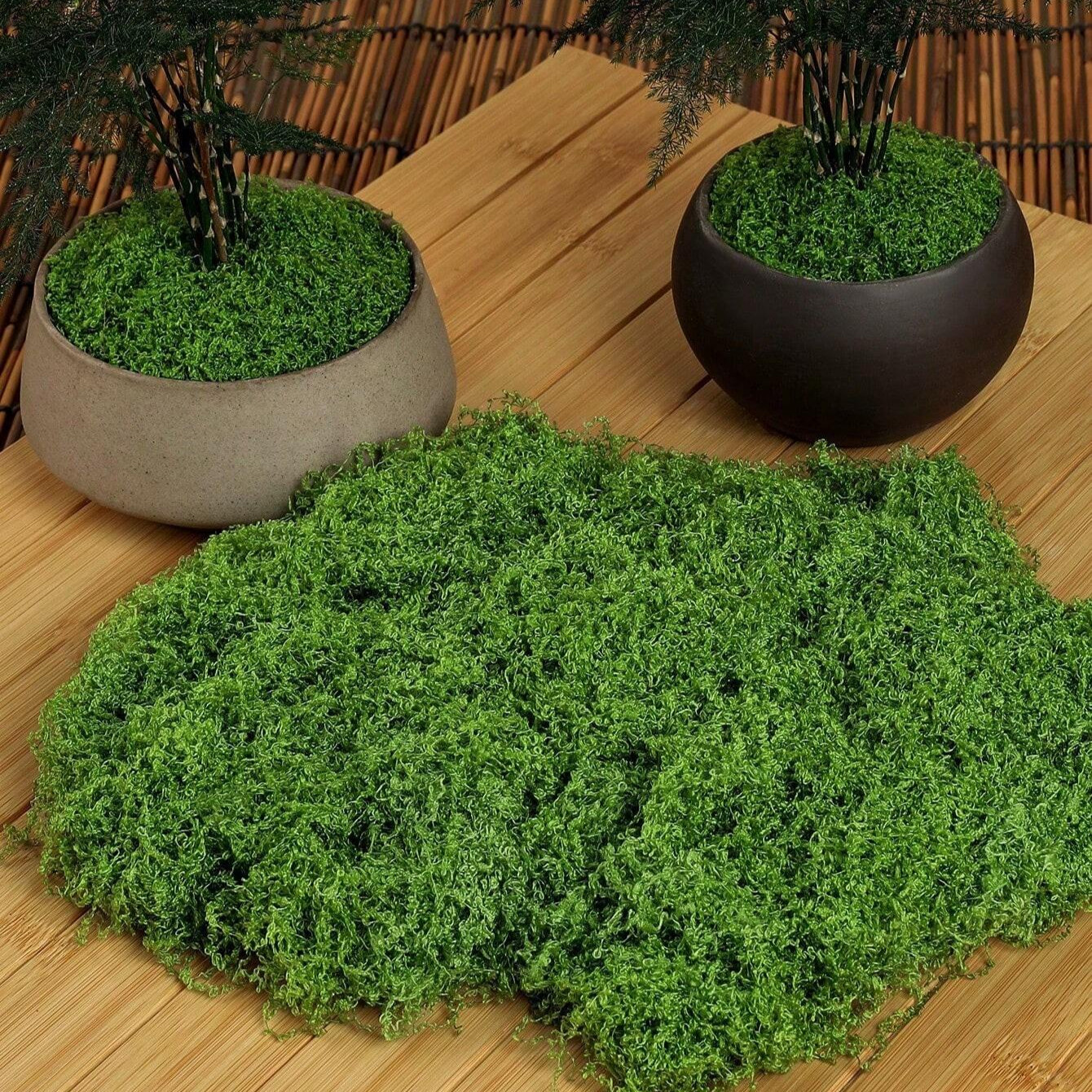 Artificial Moss Fake Green Plant Simulation Grass Centerpiece Decor For DIYCraft