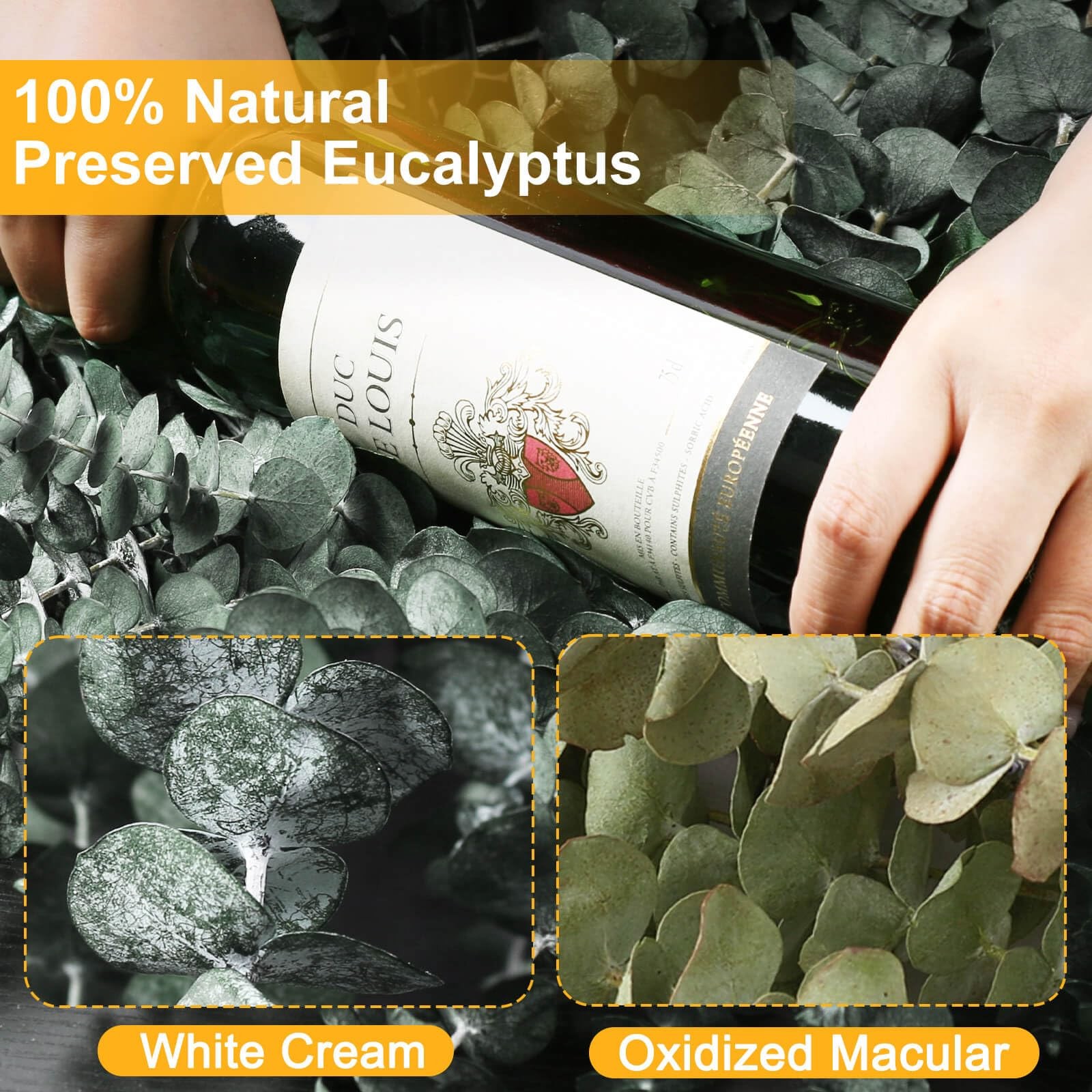 12 PCS Dried Eucalyptus Stems for Shower – 17″ Preserved Eucalyptus Stems Sho…