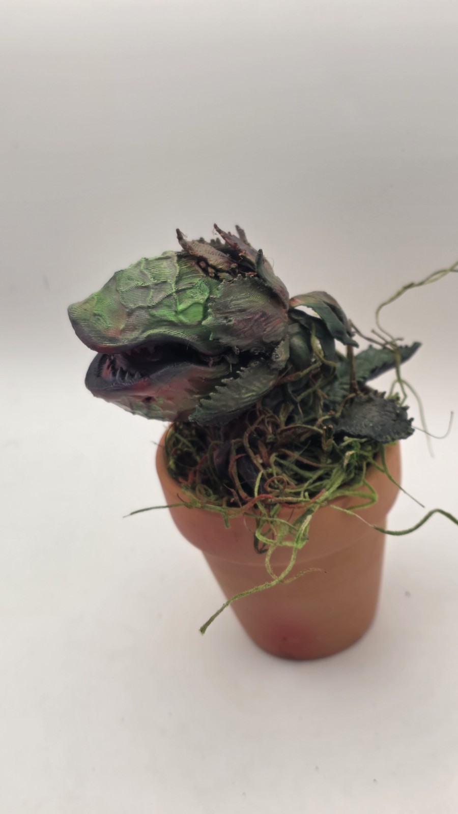 Audrey II Little Shop of Horrors Airbrushed Carnivorous includes Pot & Moss 5″