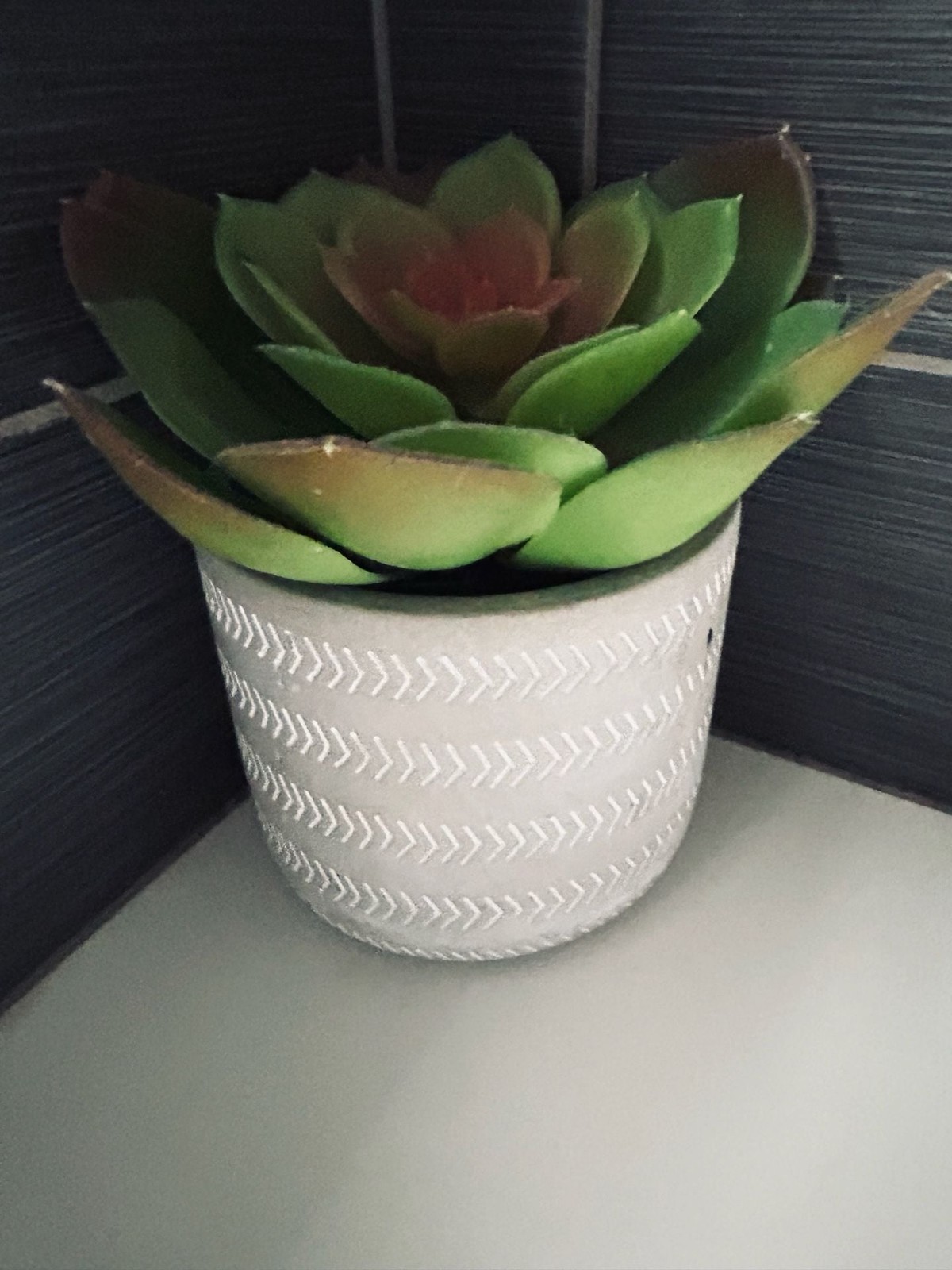Artificial Green and Red Echeveria Succulent in Chevron Ceramic Pot