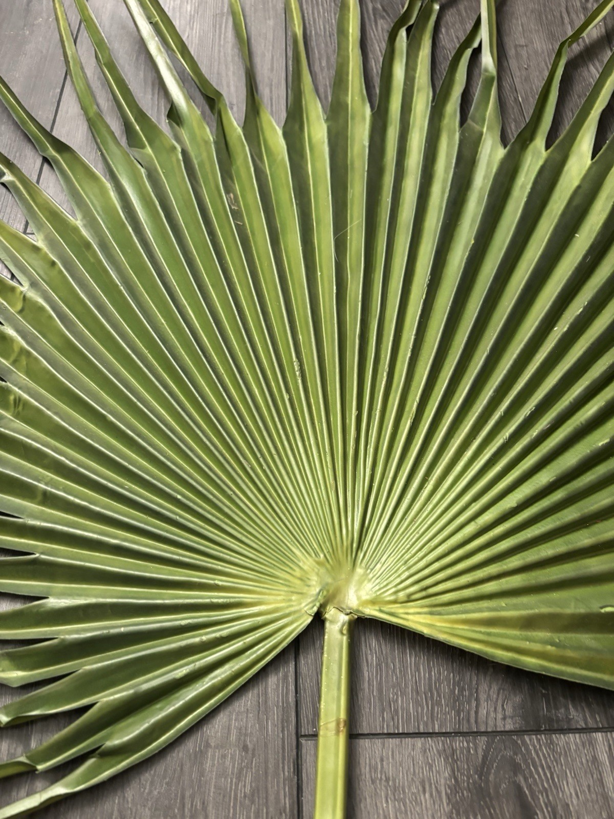 Large Fan Palm Leaf Stem 58” Tropical Boho Coastal Wedding Home Decor Prop