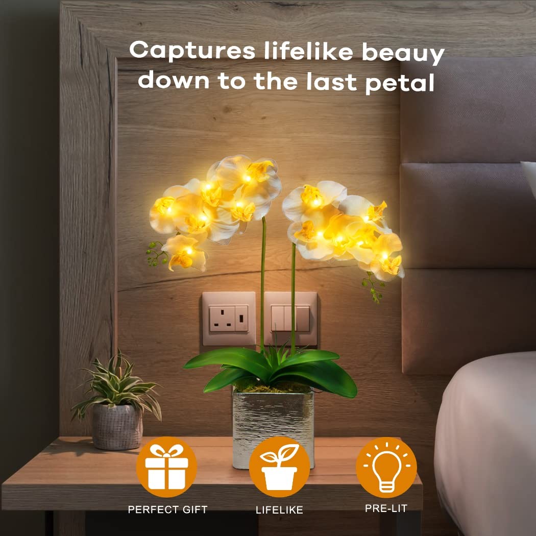 HOMESEASONS Orchid Lamp-LED Lighted Orchid Arrangements,Pre Lit Artificial Or…