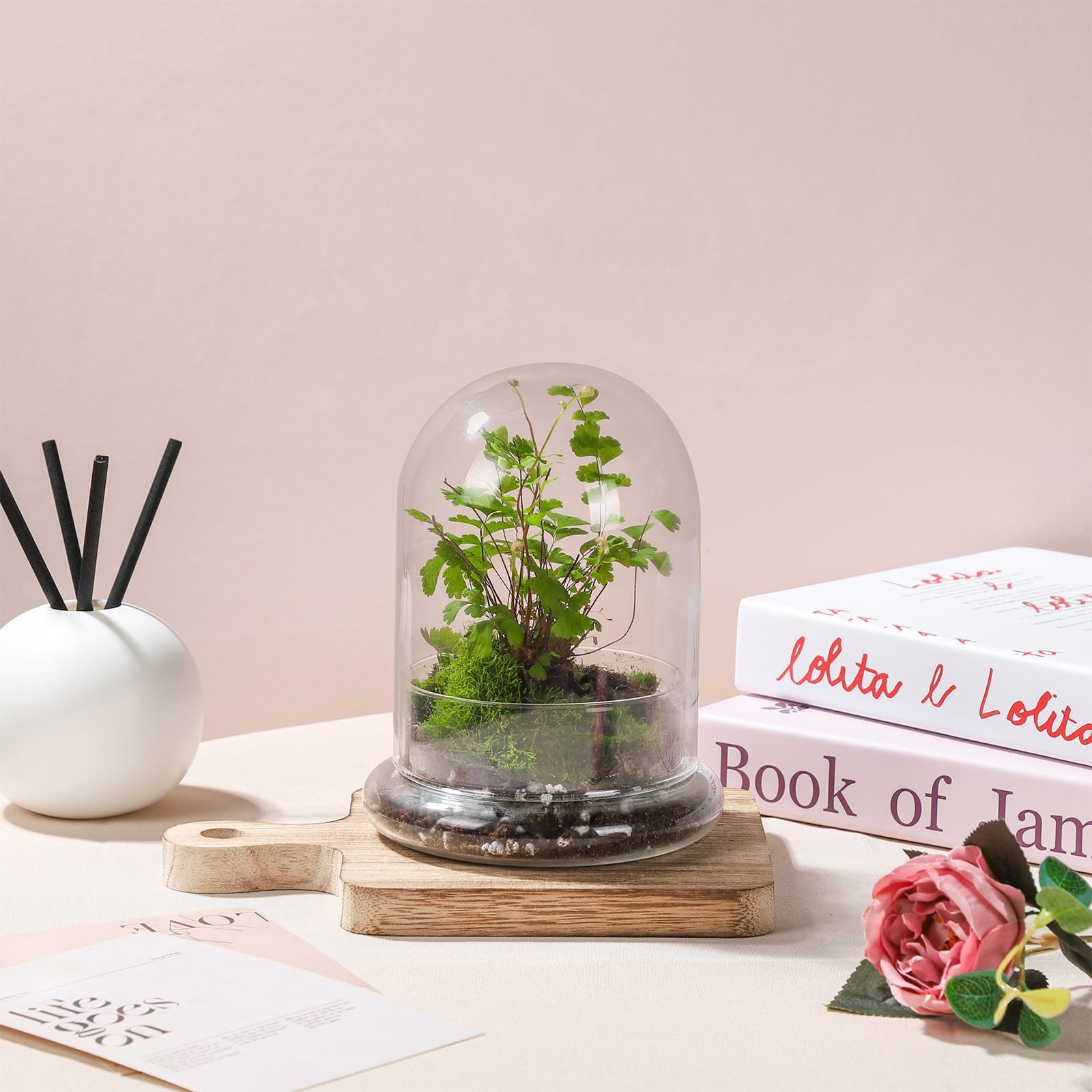 6 Inch Glass Cloche Terrarium with Base for Indoor Plants and Home Decor clear