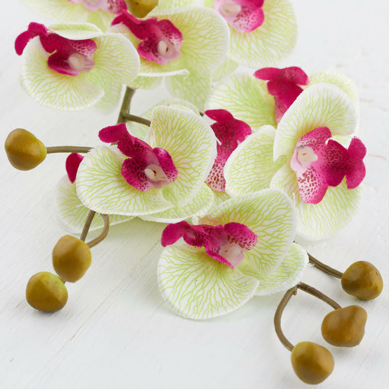 Artificial Cream and Green Phalaenopsis Orchid Sprays