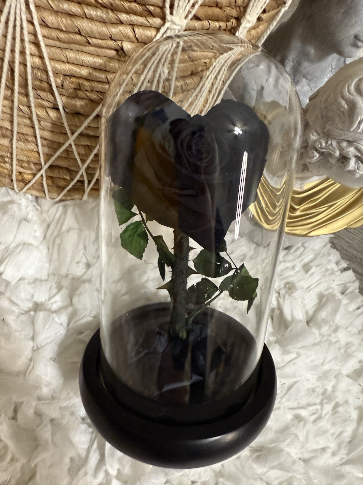 Black Real Rose Preserved Shabby Chic Boho Glass Dome Victorian Gothic Belle