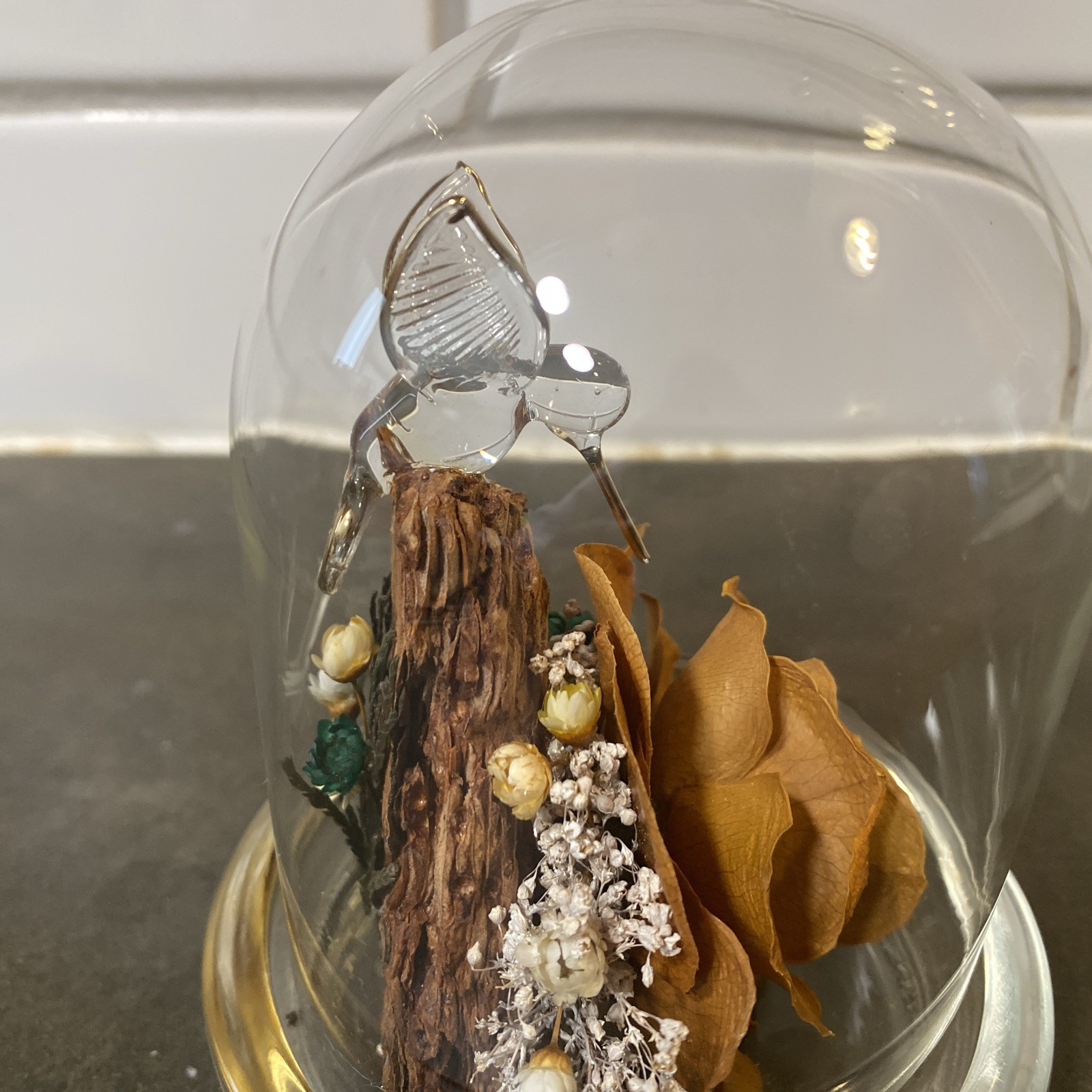 Colorado Naturals Dried Rose Floral Glass Dome Display with Glass Humming Bird