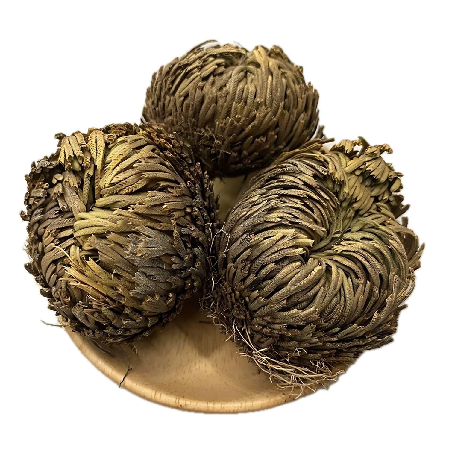 5 Pack Big 3.5″ Rose of Jericho Resurrection Plants, Flor de Jerico Yellow