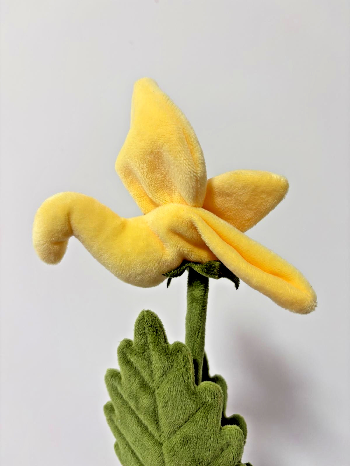 CJ Hendry Hong Kong Native – Yellow Bird Balsam Flower