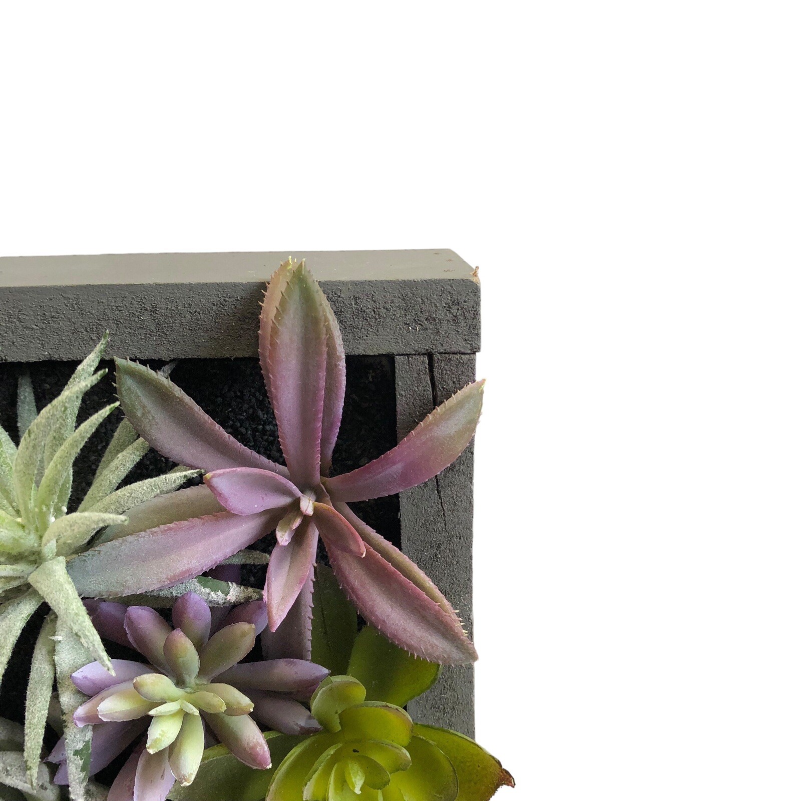 WALL OF FAUX SUCCULENT Cactus in Gray Wood Box Decor Display 12x12x3 inches New